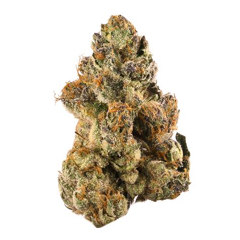 strawberry gelato strain thc level|Strawberry Gelato Weed Strain Information 